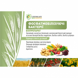 Фосфатмобілізуючі бактерії