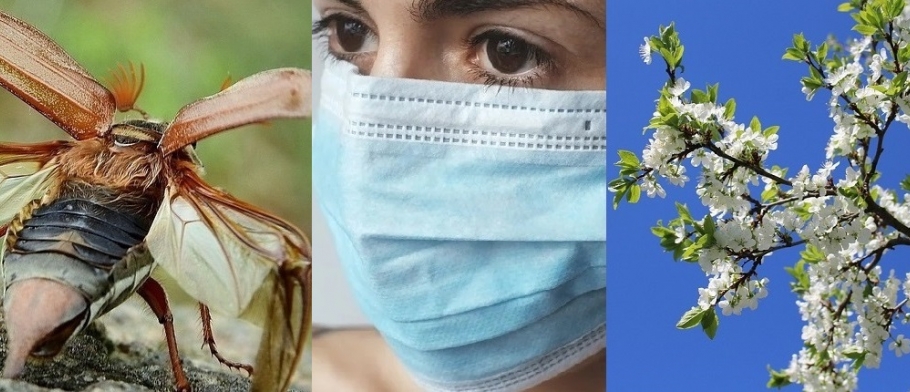 Очікування від 2020 року
